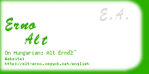 erno alt business card